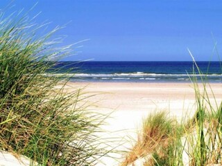 Vakantiepark Ermelo Omgeving 20