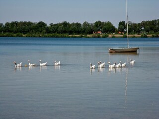 Parc de vacances Heel Environnement 17