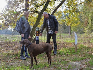 Vakantiepark Heel Omgeving 15