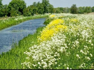Parco vacanze Ossenzijl Ambiente 32