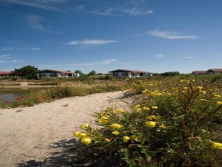 Parc de vacances De Cocksdorp Environnement 23