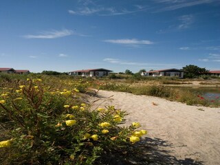 Parc de vacances De Cocksdorp Environnement 16