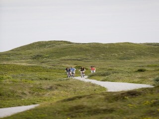 Ferienpark De Cocksdorp Umgebung 13