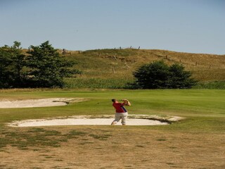 Ferienpark De Cocksdorp Umgebung 15