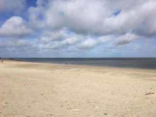 Ferienpark De Cocksdorp Umgebung 25