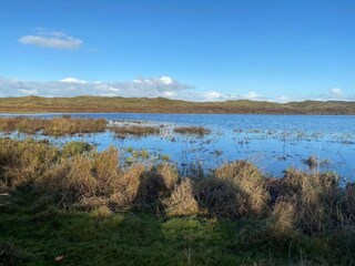 Parc de vacances De Cocksdorp Environnement 29