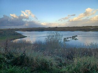 Vakantiepark De Cocksdorp Omgeving 37