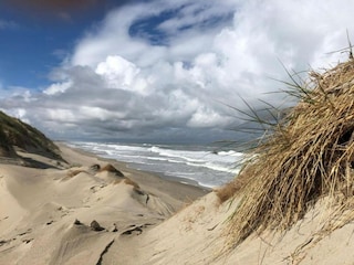 Holiday park De Cocksdorp Environment 28