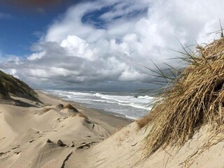 Parco vacanze De Cocksdorp Ambiente 15