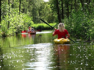 Ferienpark Ossenzijl Umgebung 37