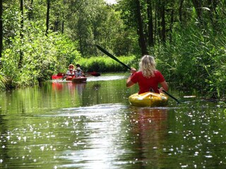 Parc de vacances Ossenzijl Environnement 21