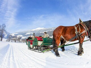 Appartamento Krimml  33