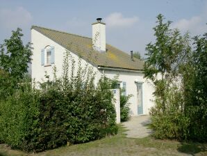 Ferienpark Geräumiges Ferienhaus w Geschirrspüler on Texel - De Cocksdorp - image1