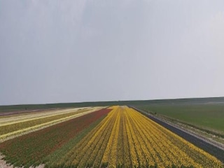 Ferienpark De Cocksdorp Umgebung 28