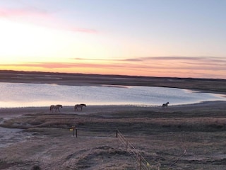Parc de vacances De Cocksdorp Environnement 24