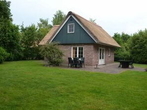 Holiday park Spacious thatched villa with dishwasher, in a national park - Paasloo - image1