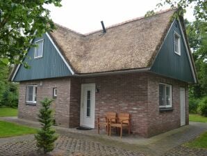 Holiday park Spacious thatched villa with dishwasher, in a national park - Paasloo - image1