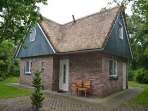 Holiday park Spacious thatched villa with dishwasher, in a national park - Paasloo - image1