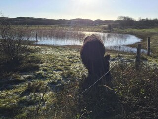 Parc de vacances De Cocksdorp Environnement 22