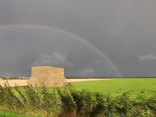 Parc de vacances De Cocksdorp Environnement 23