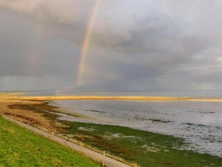 Vakantiepark De Cocksdorp Omgeving 19