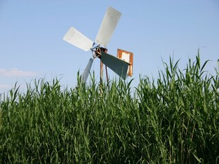 Parque de vacaciones Paasloo Entorno 15