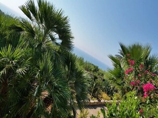 Vakantiepark Selinunte Buitenaudio-opname 3