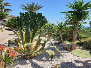 Parco vacanze Selinunte Ambiente 12