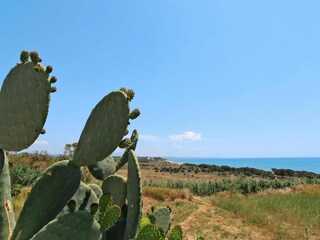 Parque de vacaciones Selinunte Entorno 10