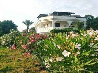 Vakantiepark Selinunte Omgeving 1