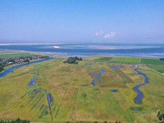 Parc de vacances De Cocksdorp Environnement 21