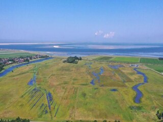 Vakantiepark De Cocksdorp Omgeving 21