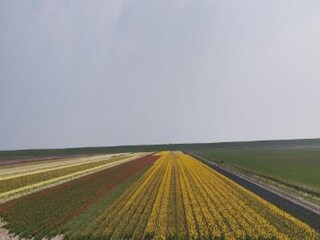 Vakantiepark De Cocksdorp Omgeving 17