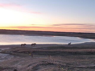 Vakantiepark De Cocksdorp Omgeving 15