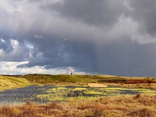 Vakantiepark De Cocksdorp Omgeving 19