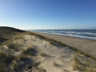 Vakantiepark De Cocksdorp Omgeving 23