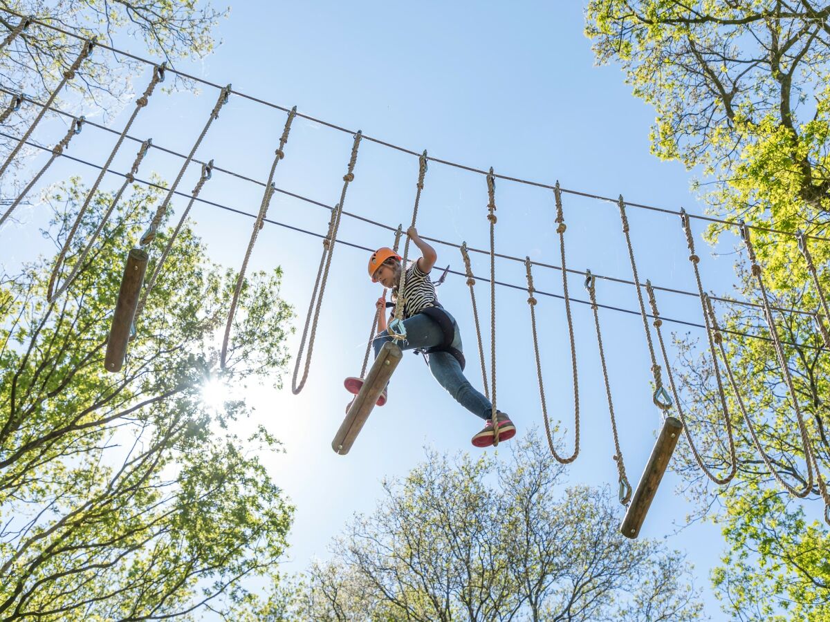 Ferienpark Paasloo Umgebung 10