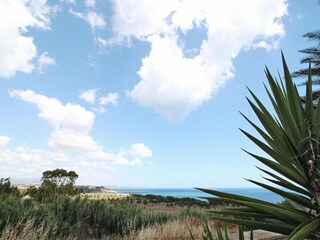 Parco vacanze Selinunte Ambiente 15