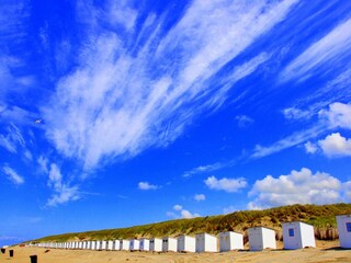 Vakantiepark De Cocksdorp Omgeving 17