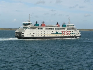 Holiday park De Cocksdorp Environment 28