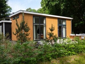 Parc de vacances Maison, dans la réserve naturelle - Rhénen - image1