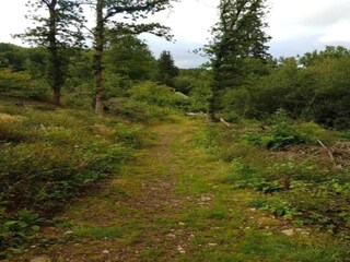 Parc de vacances Paasloo Environnement 14
