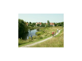 Parc de vacances De Cocksdorp Environnement 24