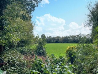 Ferienpark Paasloo Umgebung 19