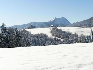 Vakantiepark Siegsdorf Omgeving 15