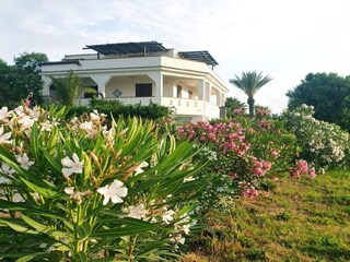 Vakantiepark Selinunte Buitenaudio-opname 2