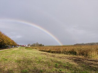 Vakantiepark De Cocksdorp Omgeving 17