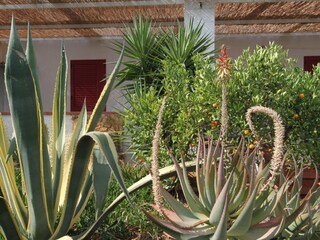 Vakantiepark Selinunte Buitenaudio-opname 3