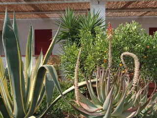 Ferienpark Selinunte Außenaufnahme 2