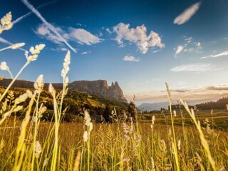 Vakantiepark Seiseralm Omgeving 15